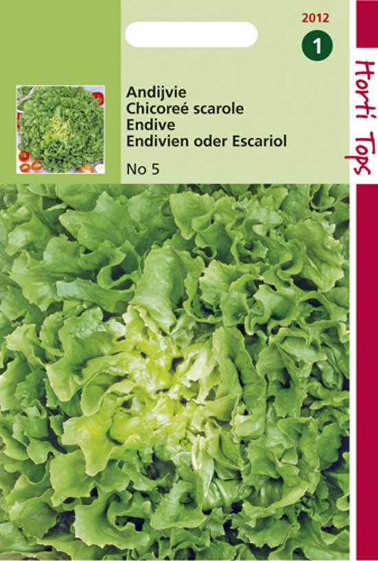 Endivie Batavian Green (Cichorium) 1800 seeds HT